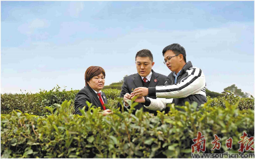 梅州：以高质量法治护航“百千万工程”